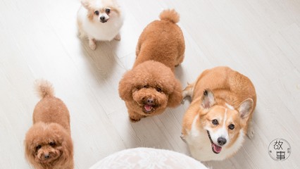 TRX手机钱包app下载钱包