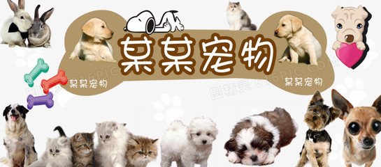 数字钱包USDT