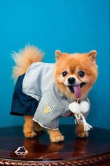 苹果手机imtoken下载