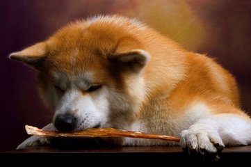 okpay钱包app最新版