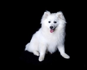 imtoken钱包官网地址