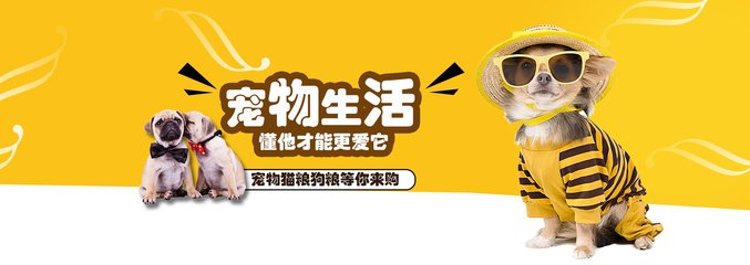 币安手机钱包