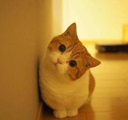 usdt手机钱包安卓版下载