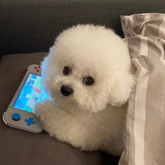 BNB钱包app钱包