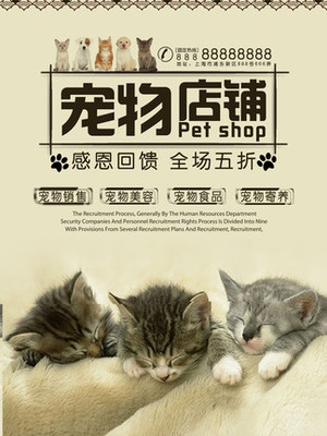 token手机恢复密码