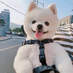 tp钱包手机app下载