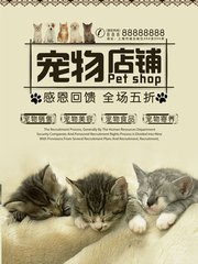 TP钱包新版本下载